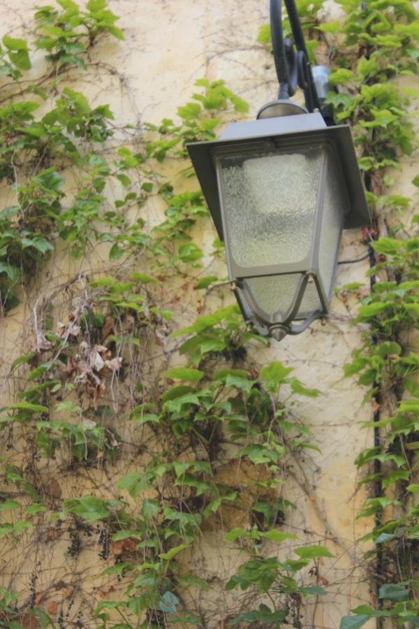 La Cour Villa ลูร์มาแร็ง ภายนอก รูปภาพ